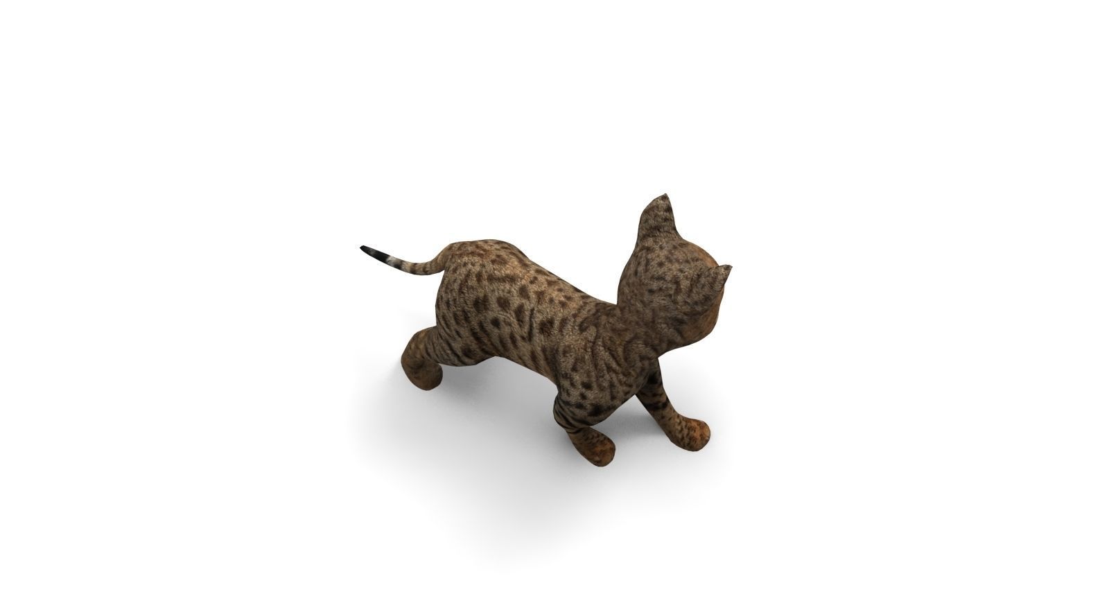 Cute Cat Rigged Low-poly 3D model_9