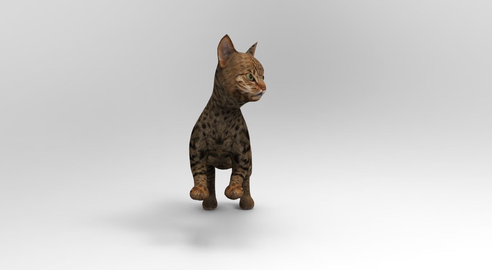 Cute Cat Rigged Low-poly 3D model_26
