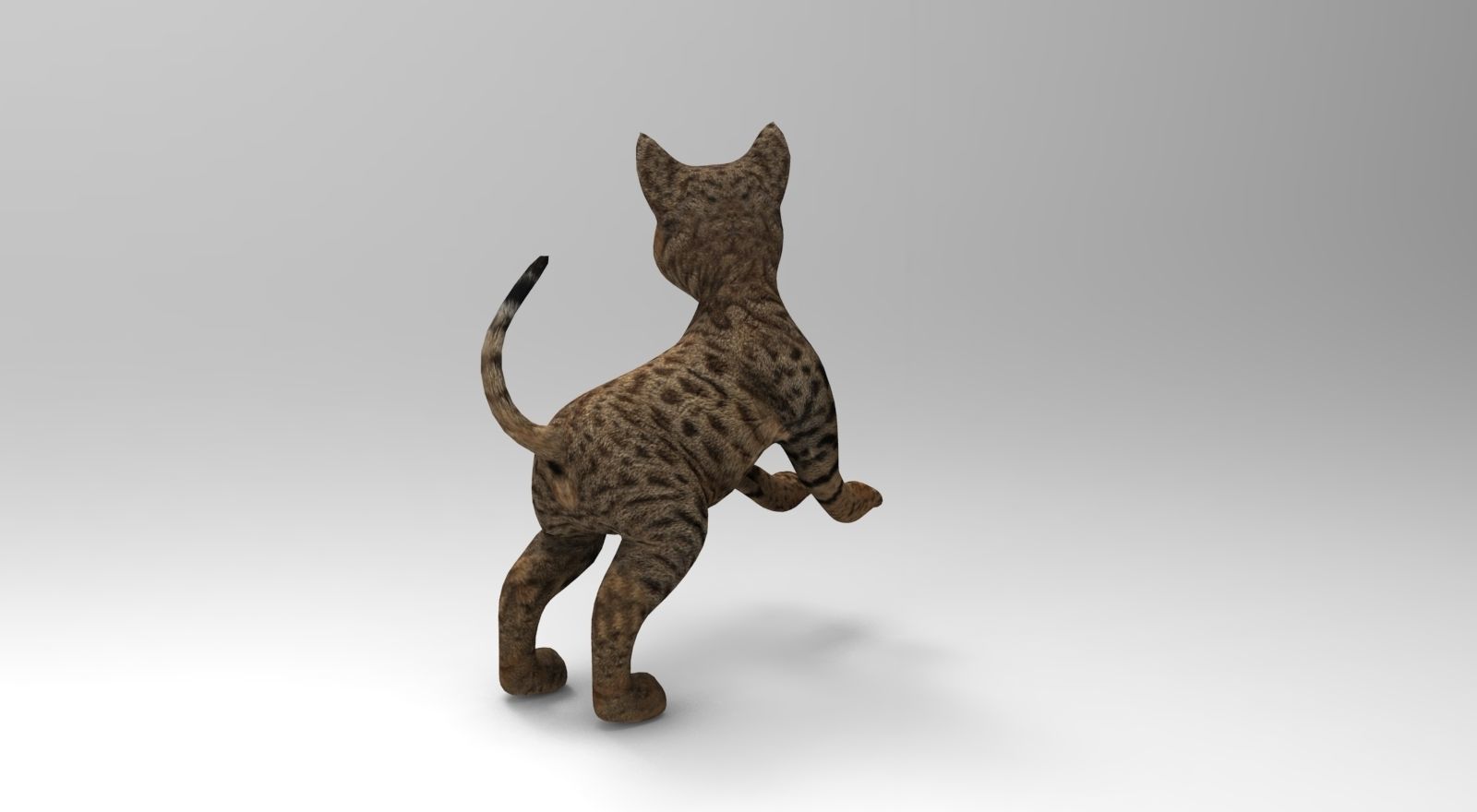 Cute Cat Rigged Low-poly 3D model_25