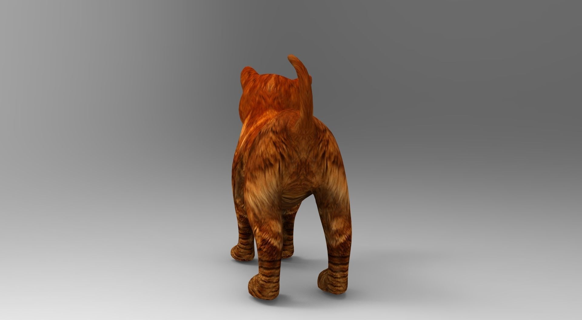 Cute Cat Rigged Low-poly 3D model_30