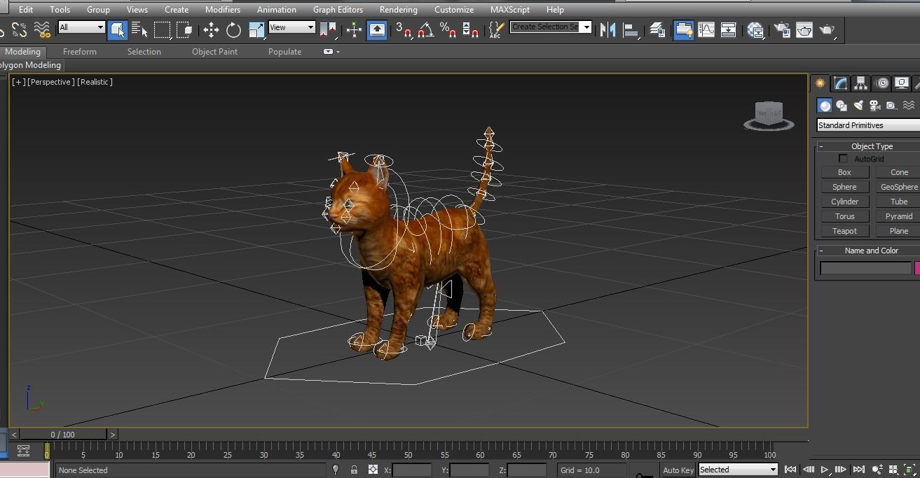 Cute Cat Rigged Low-poly 3D model_12