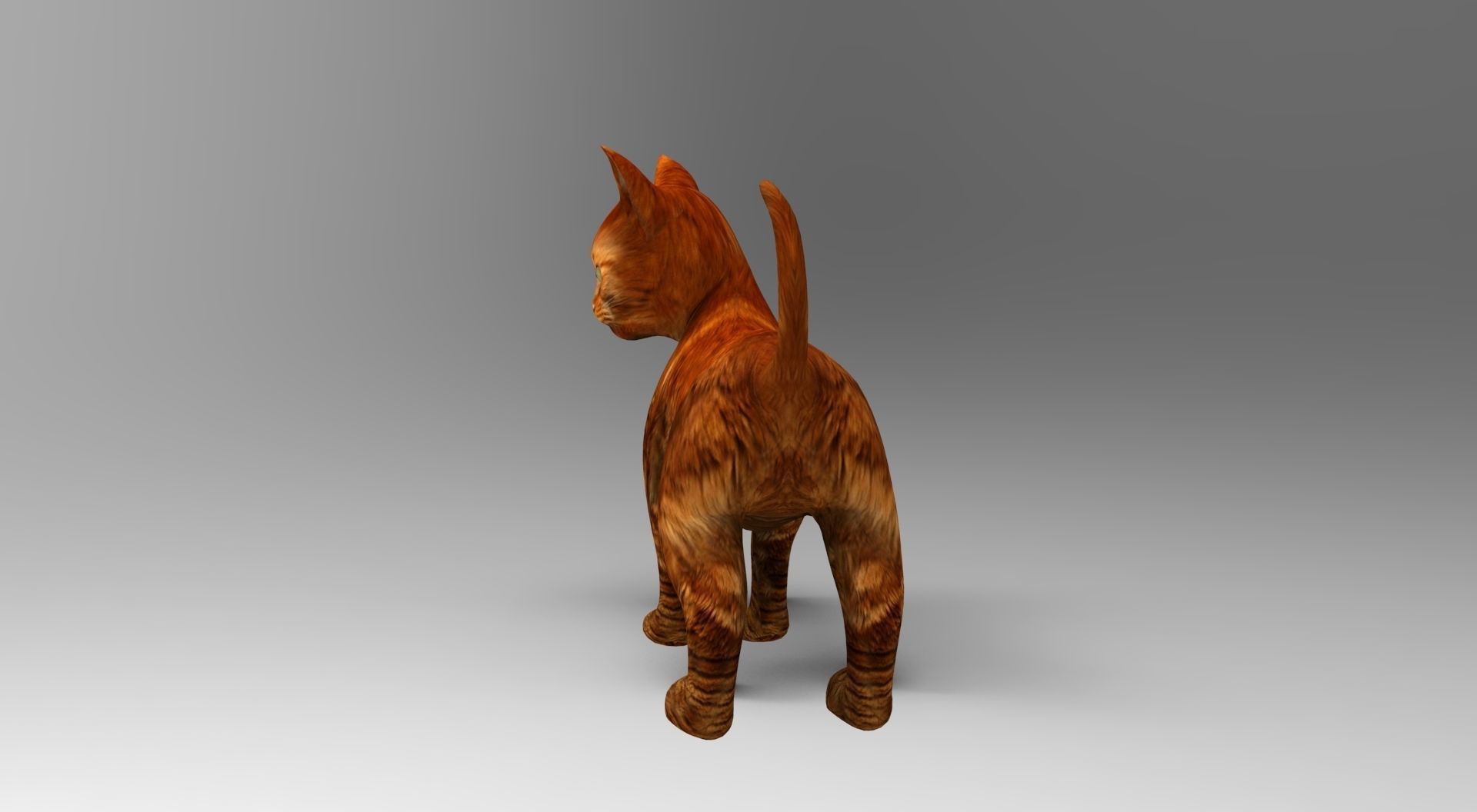 Cute Cat Rigged Low-poly 3D model_20