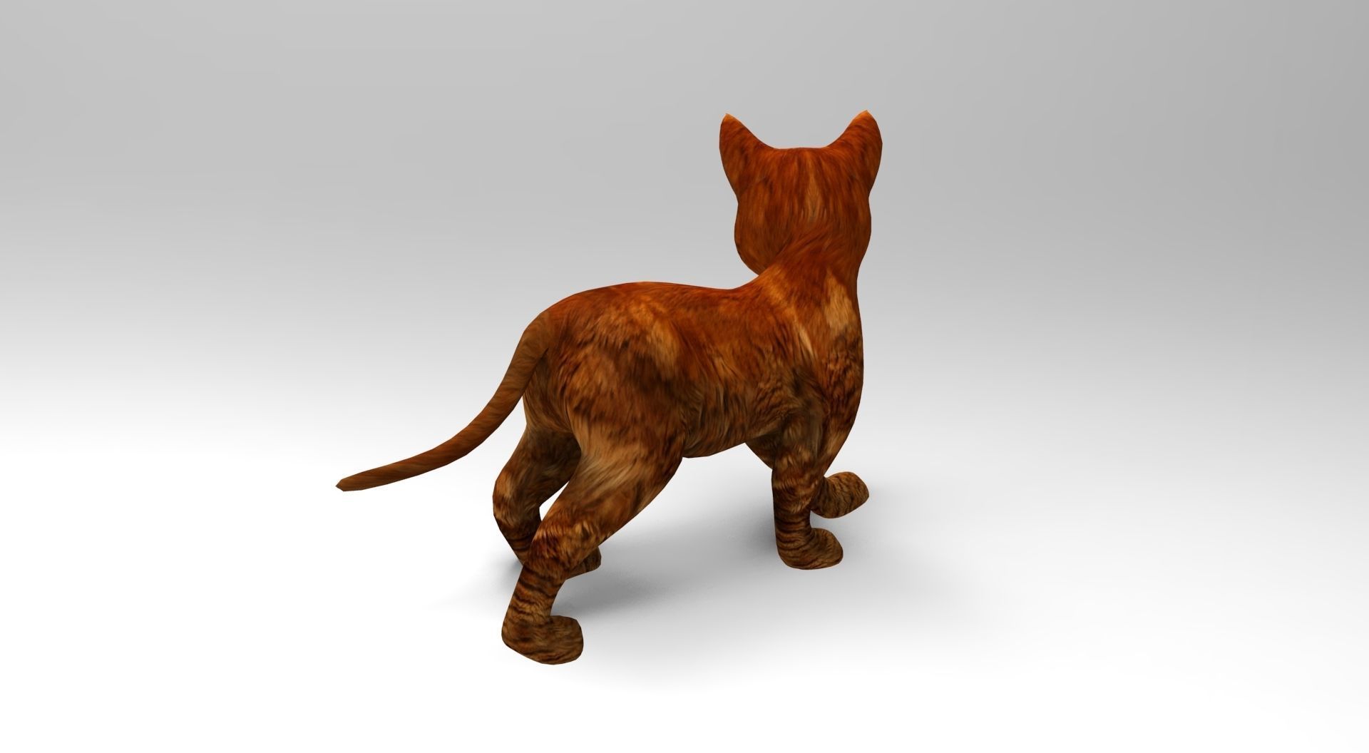 Cute Cat Rigged Low-poly 3D model_6
