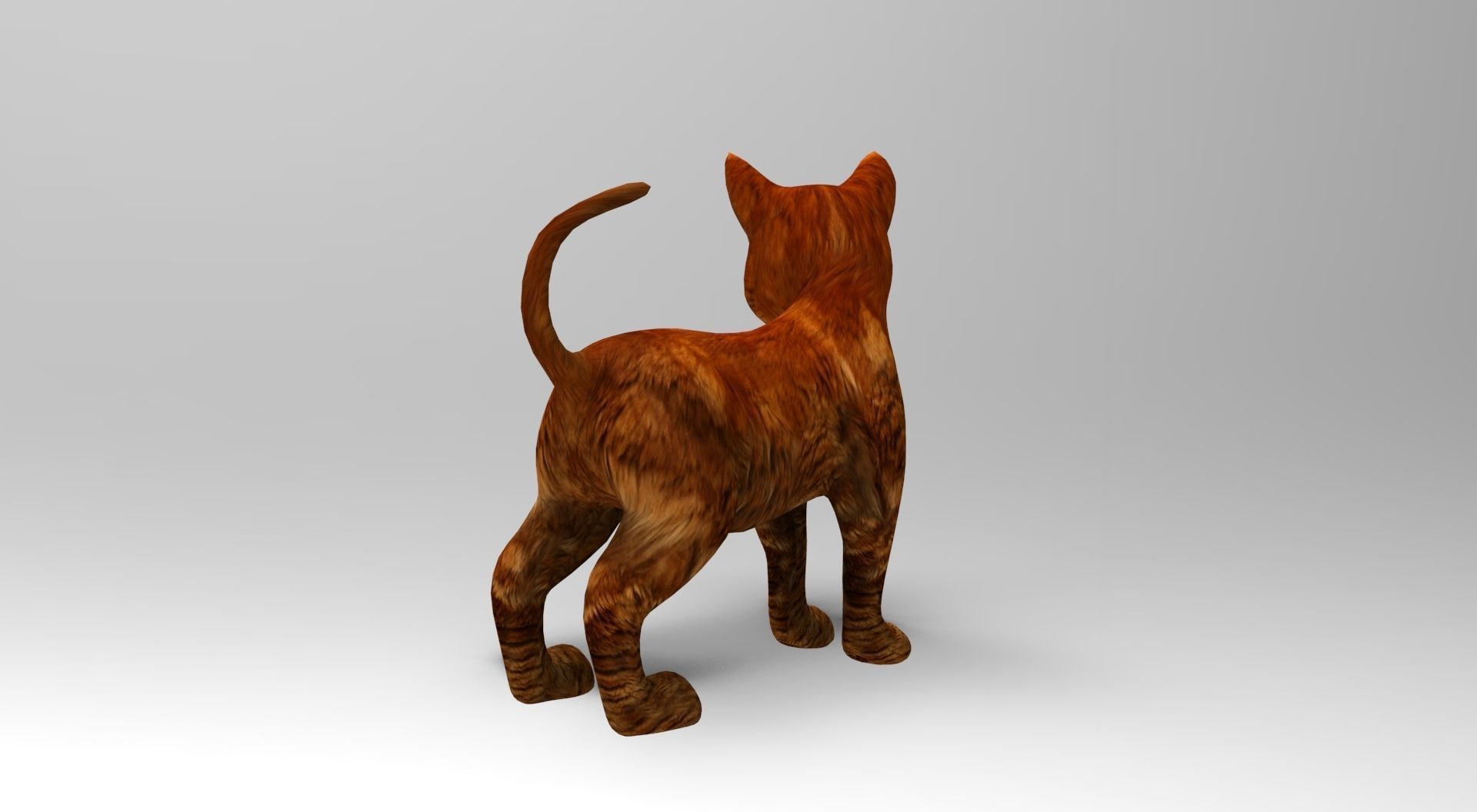 Cute Cat Rigged Low-poly 3D model_22