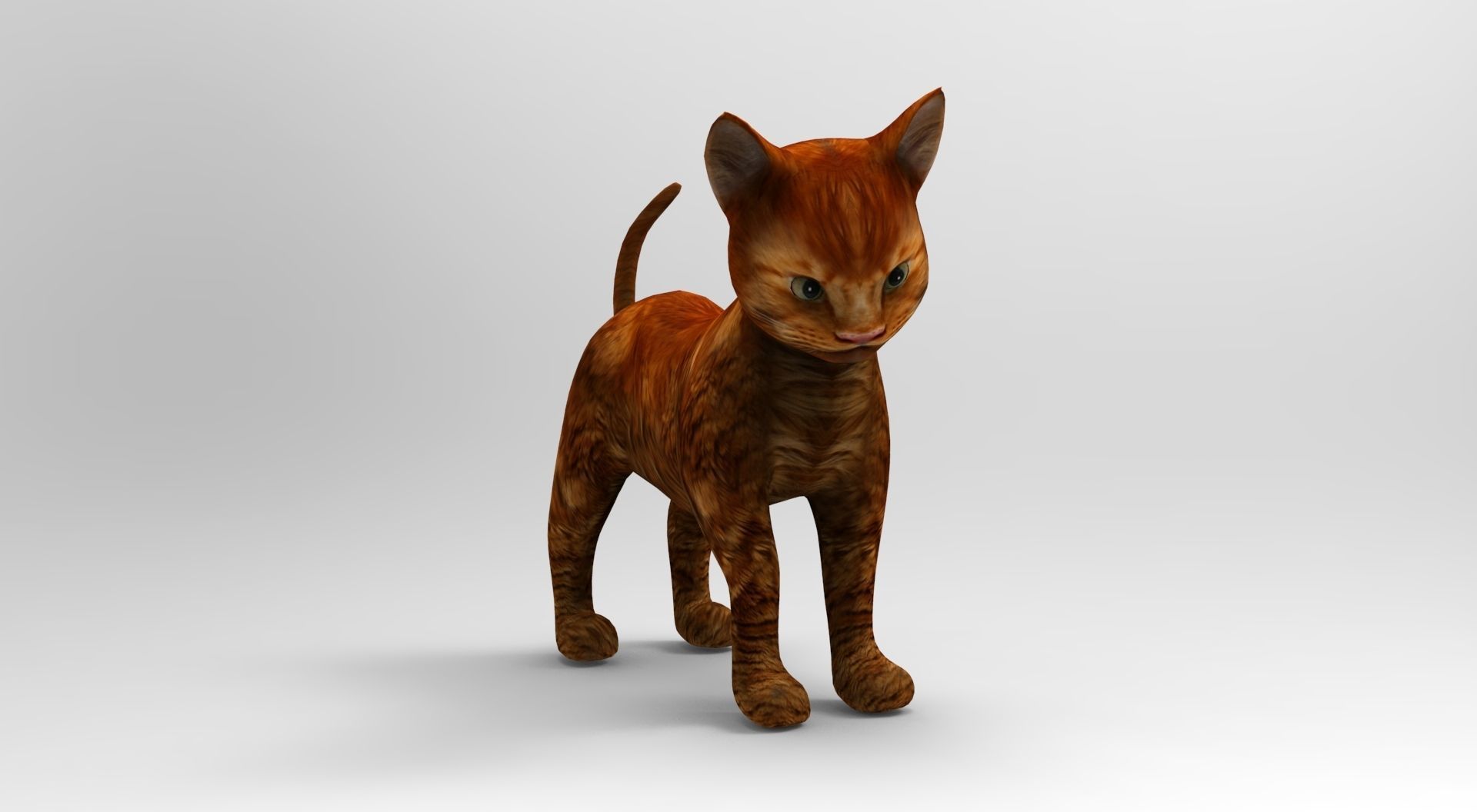 Cute Cat Rigged Low-poly 3D model_28