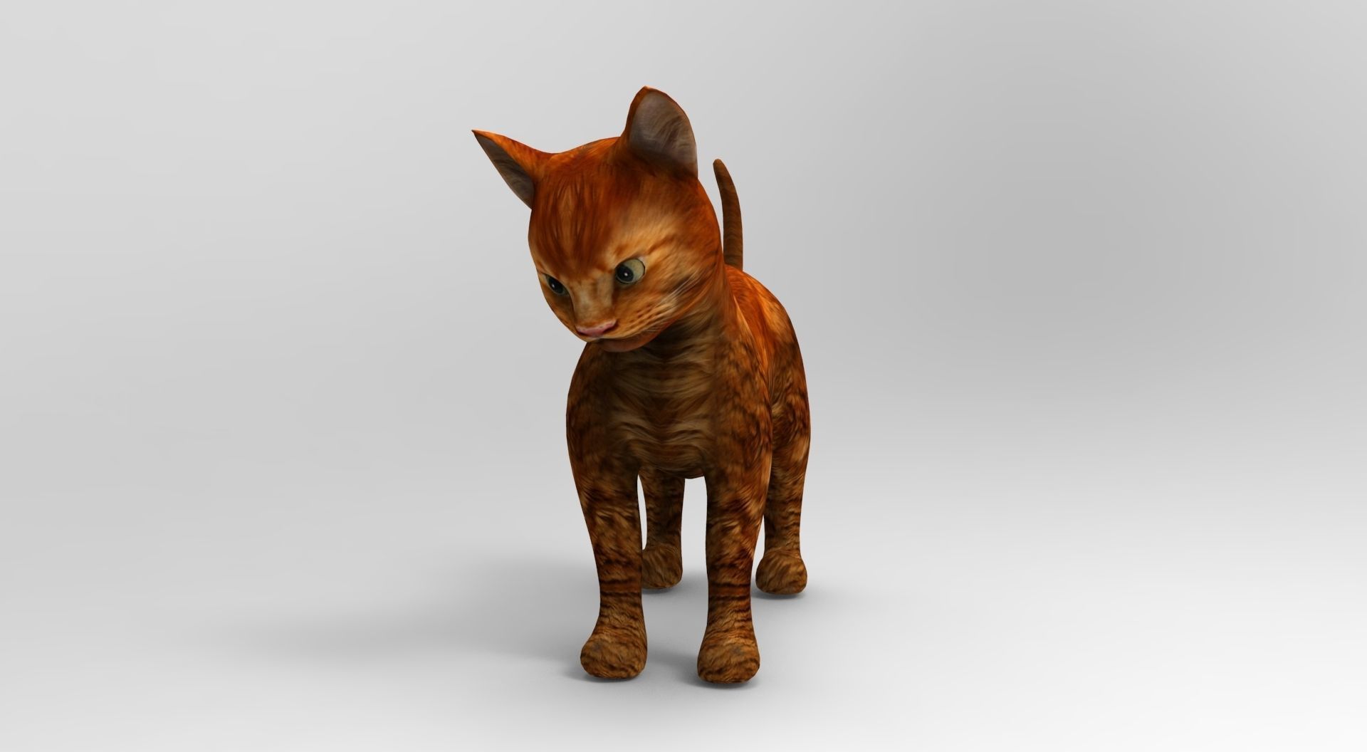 Cute Cat Rigged Low-poly 3D model_32
