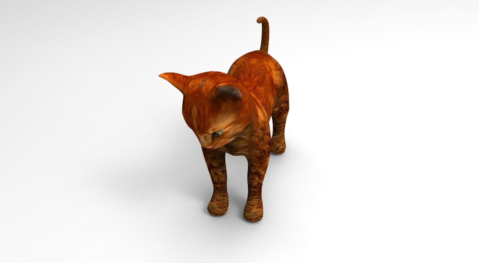 Cute Cat Rigged Low-poly 3D model_27