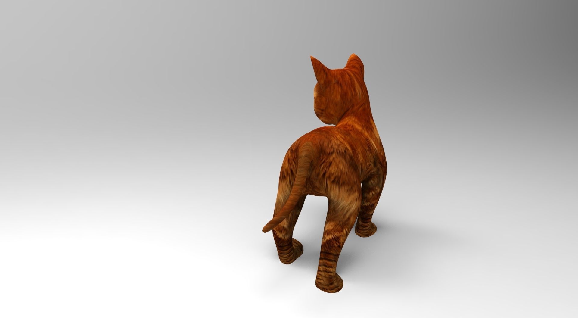 Cute Cat Rigged Low-poly 3D model_5