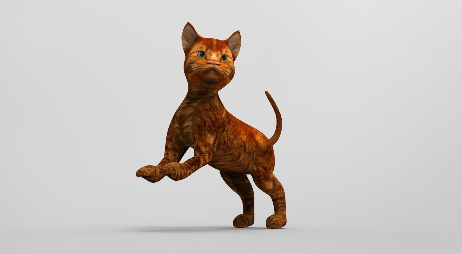 Cute Cat Rigged Low-poly 3D model_38