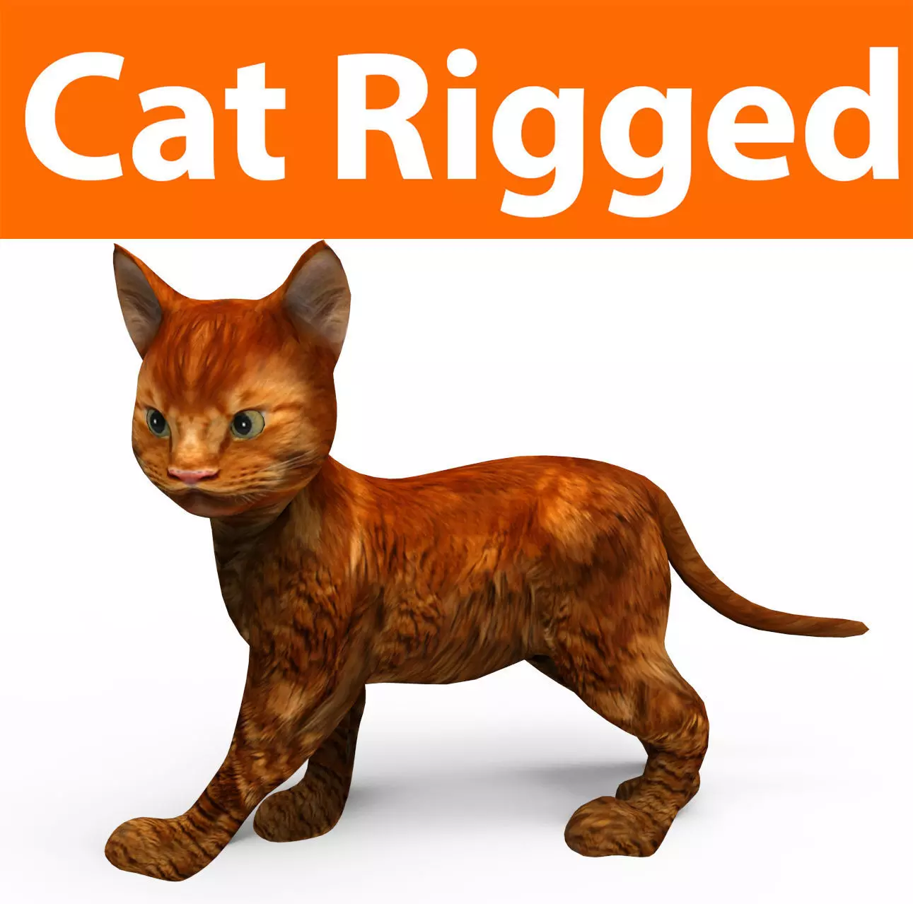Cute Cat Rigged Low-poly 3D model_0