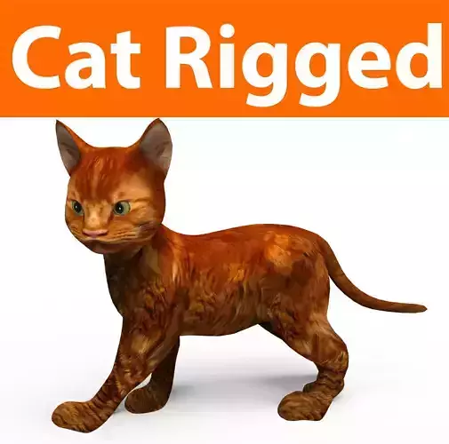 Cute Cat Rigged