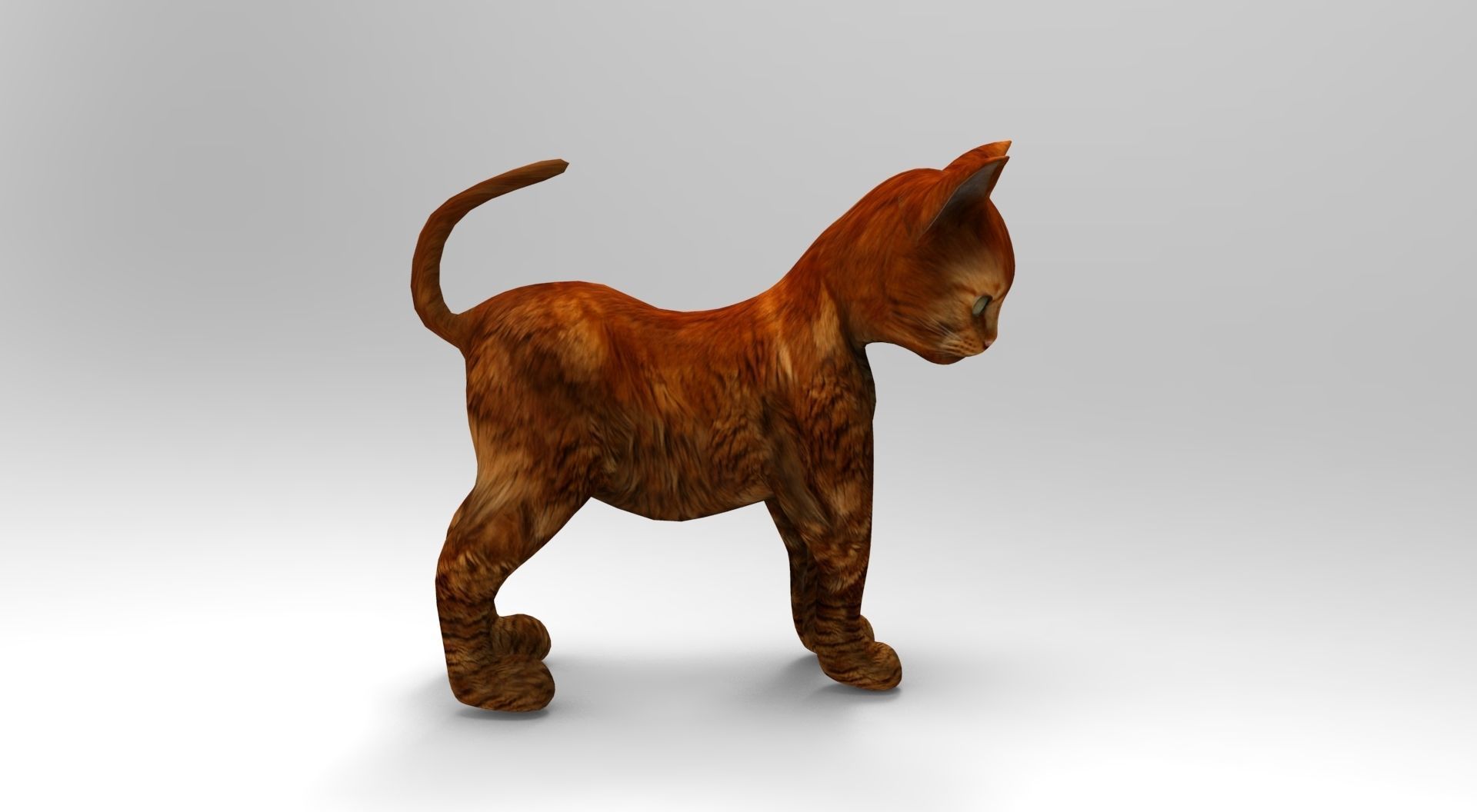 Cute Cat Rigged Low-poly 3D model_29