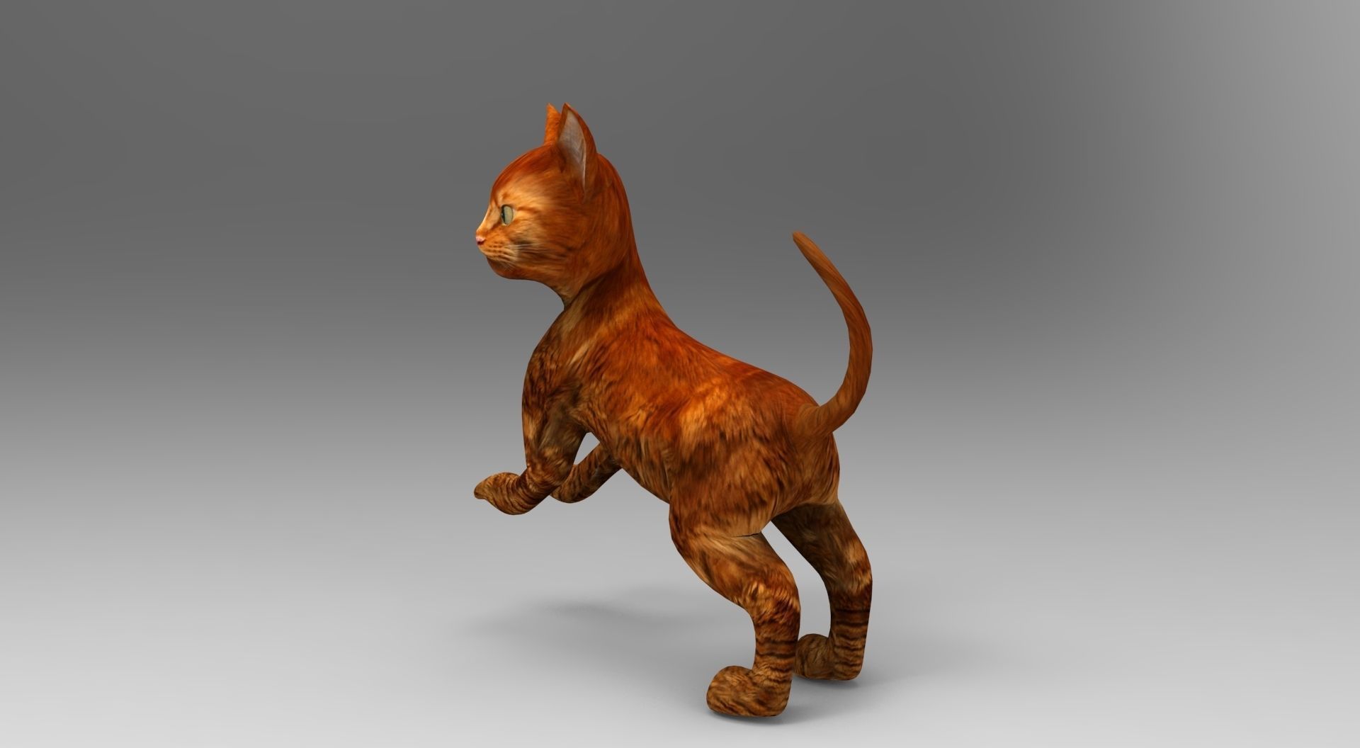 Cute Cat Rigged Low-poly 3D model_34