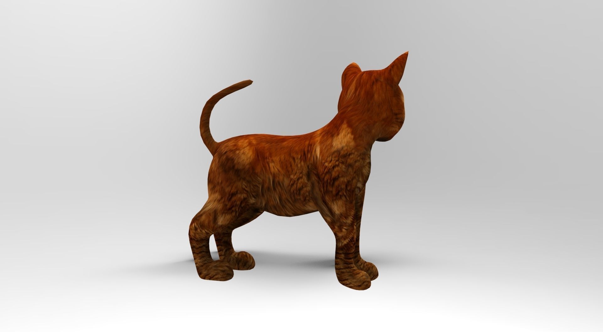 Cute Cat Rigged Low-poly 3D model_23