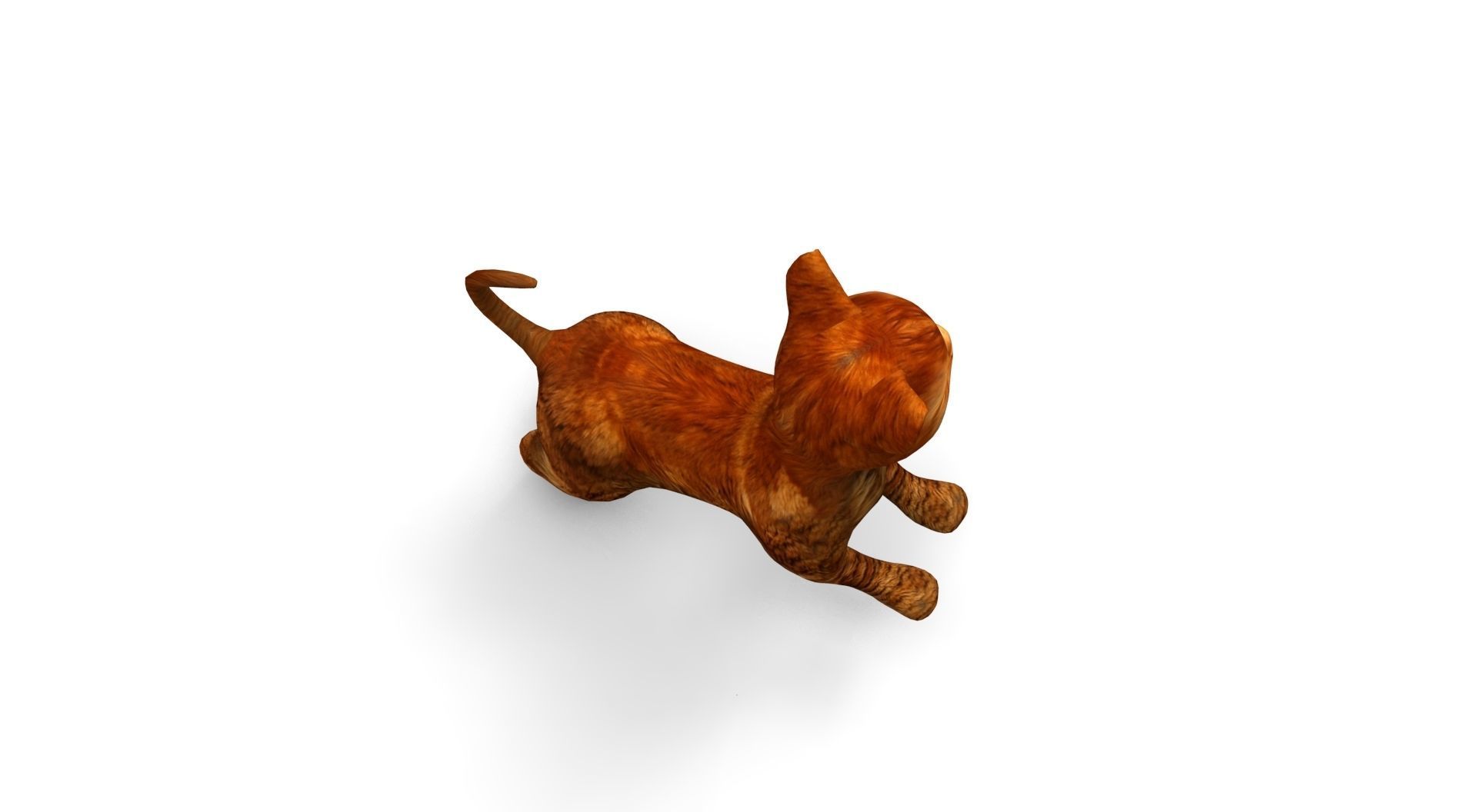 Cute Cat Rigged Low-poly 3D model_36