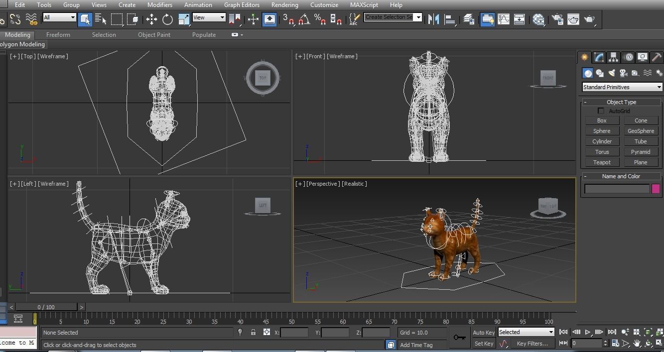 Cute Cat Rigged Low-poly 3D model_11