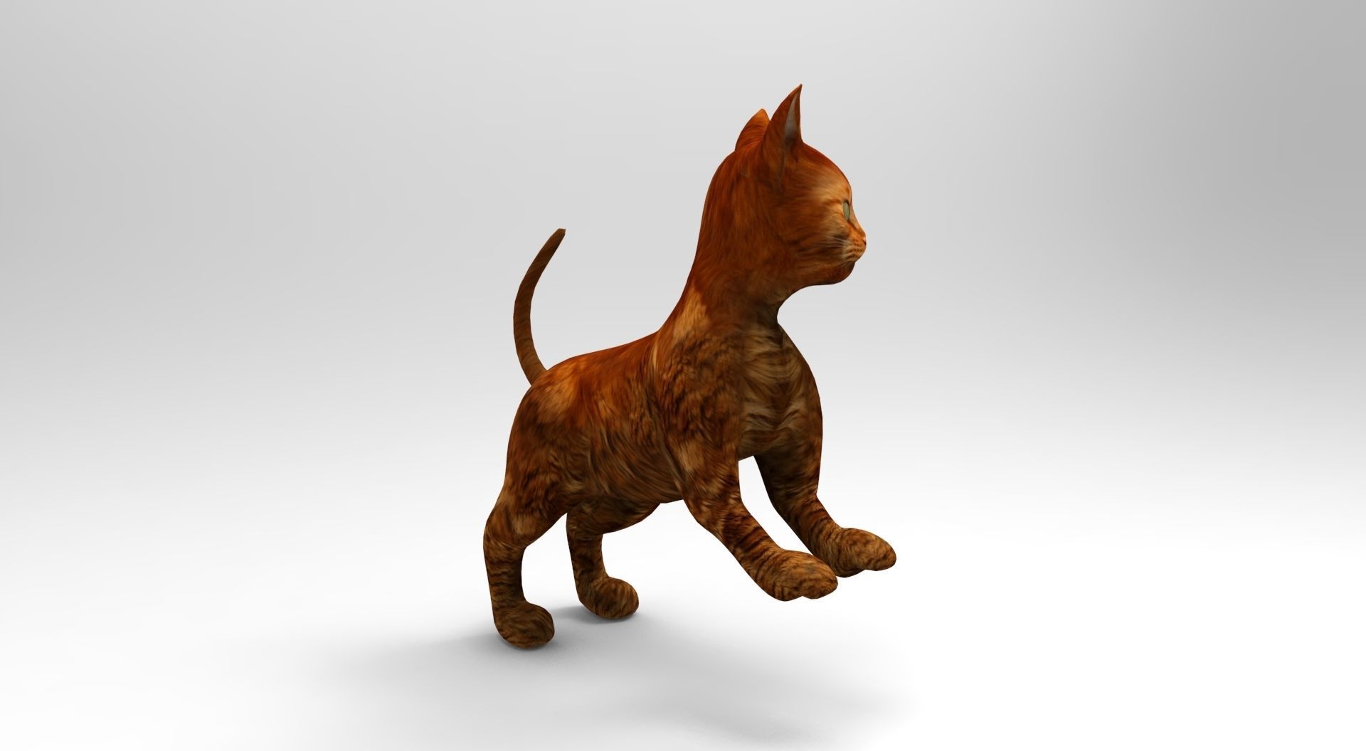 Cute Cat Rigged Low-poly 3D model_37