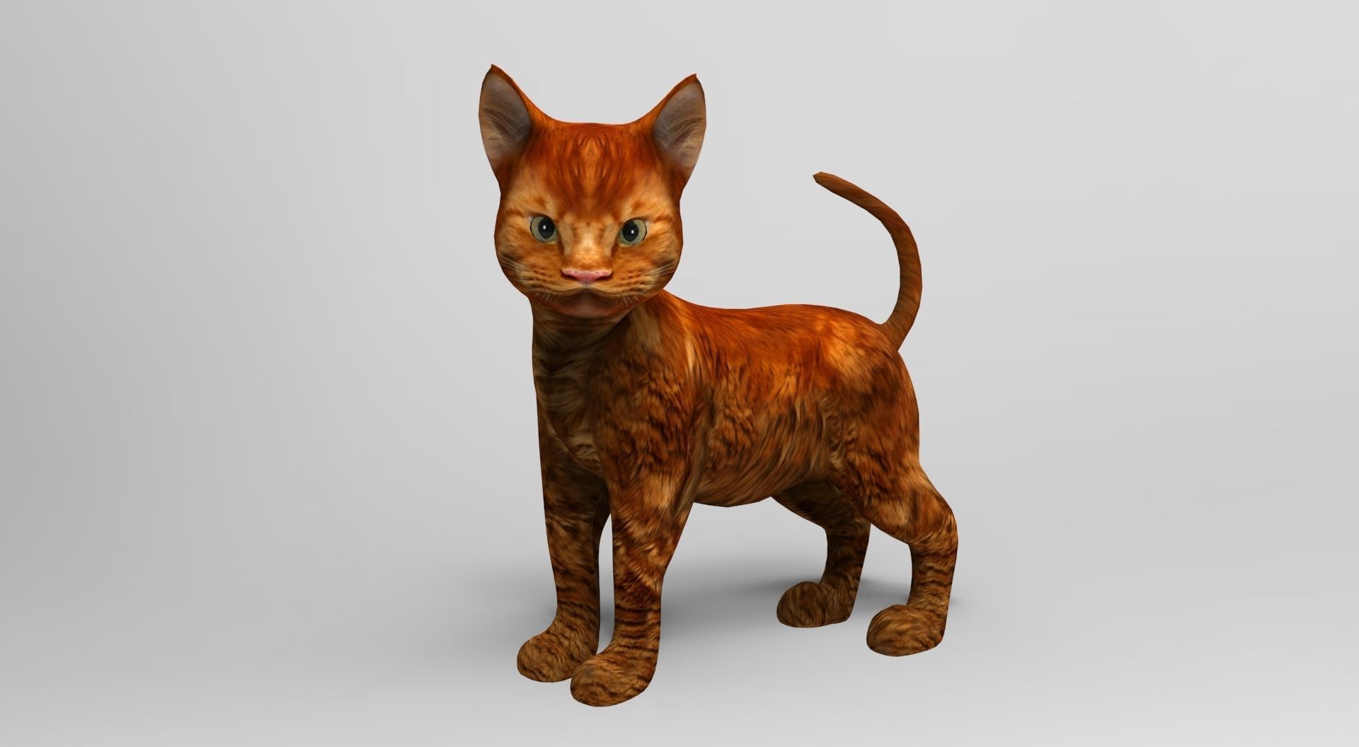Cute Cat Rigged Low-poly 3D model_2