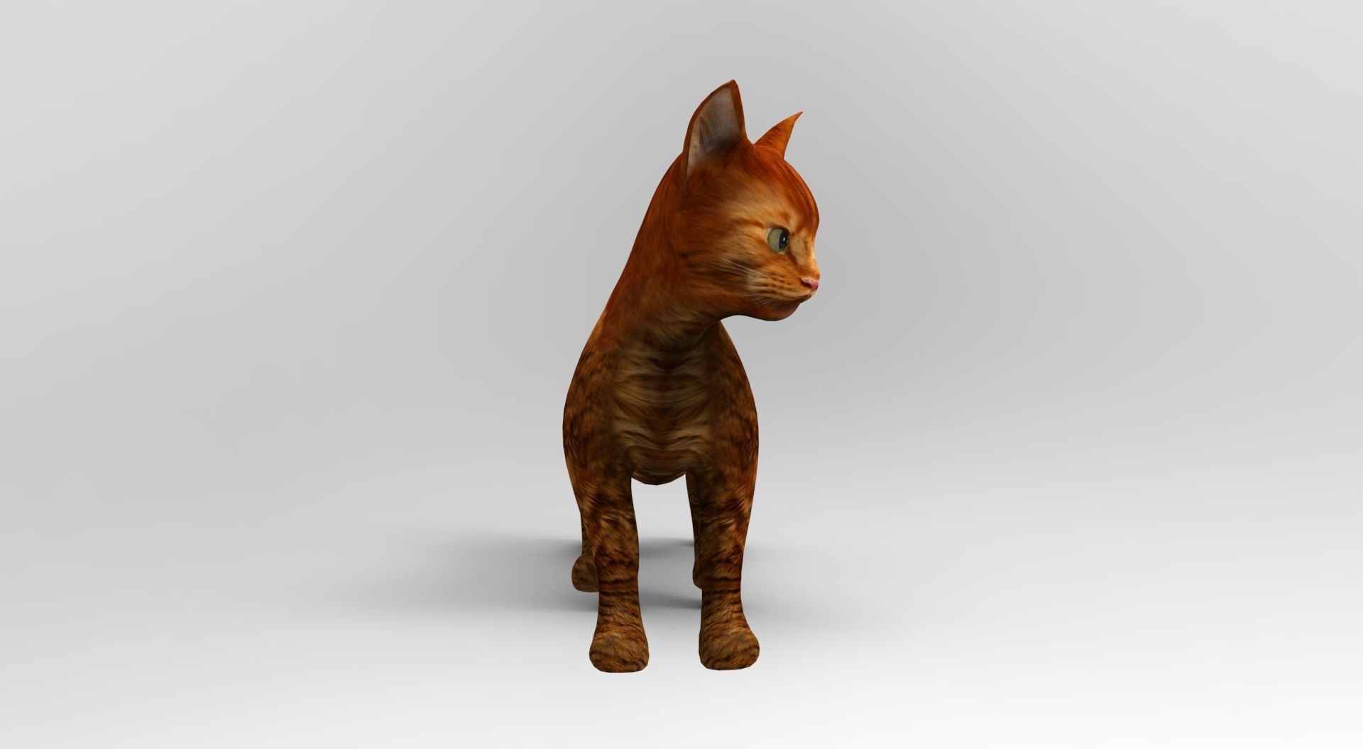 Cute Cat Rigged Low-poly 3D model_24