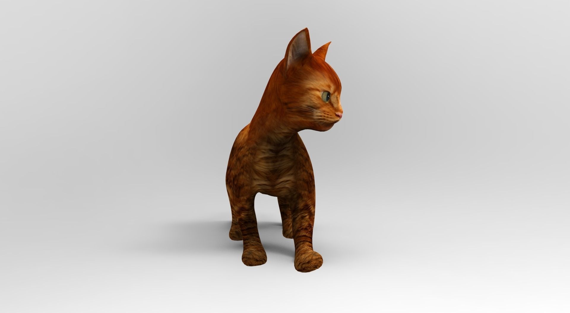 Cute Cat Rigged Low-poly 3D model_4