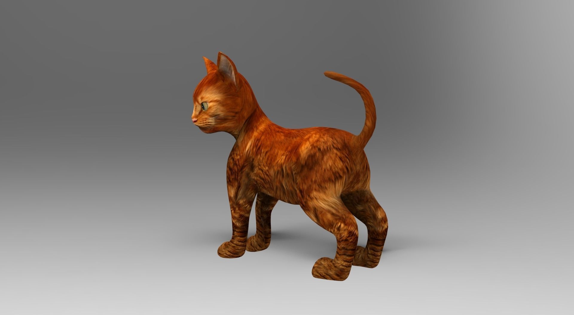 Cute Cat Rigged Low-poly 3D model_17
