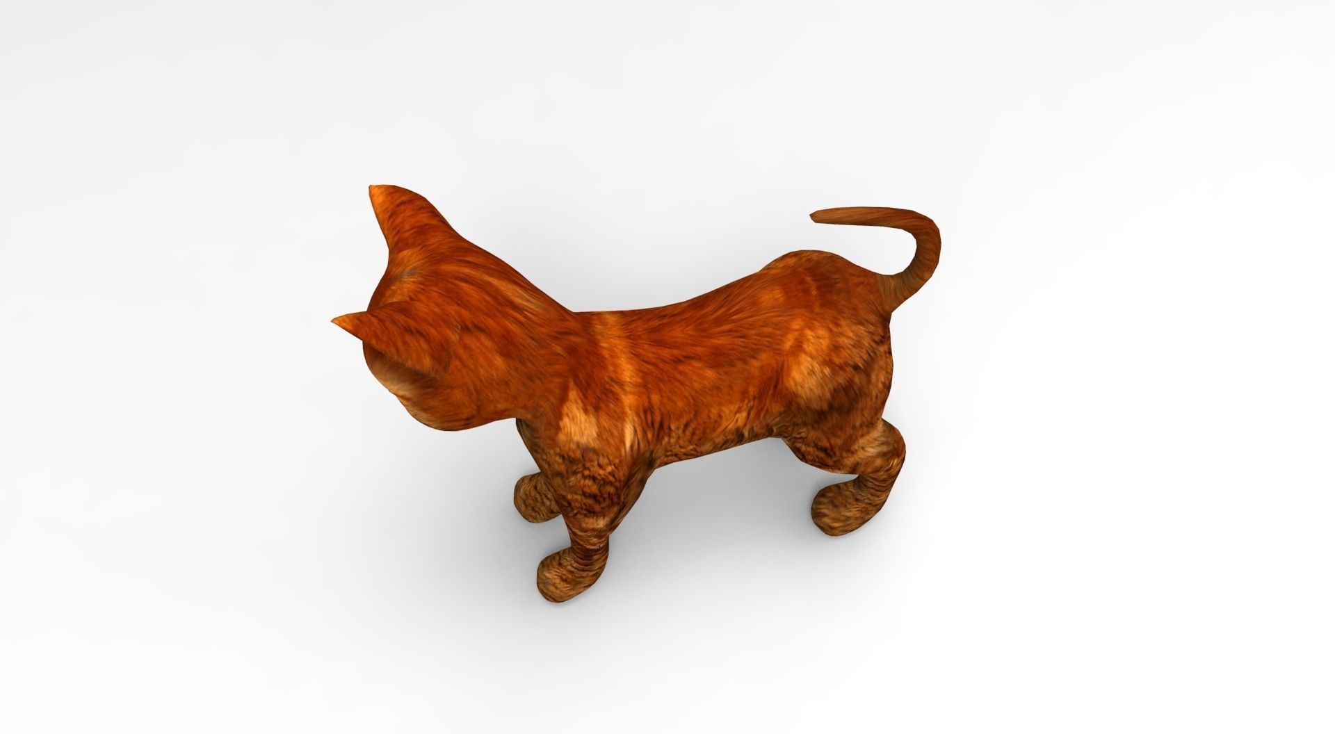 Cute Cat Rigged Low-poly 3D model_31