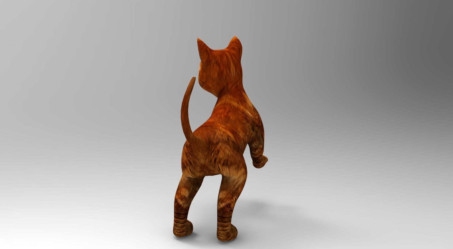 Cute Cat Rigged Low-poly 3D model_35