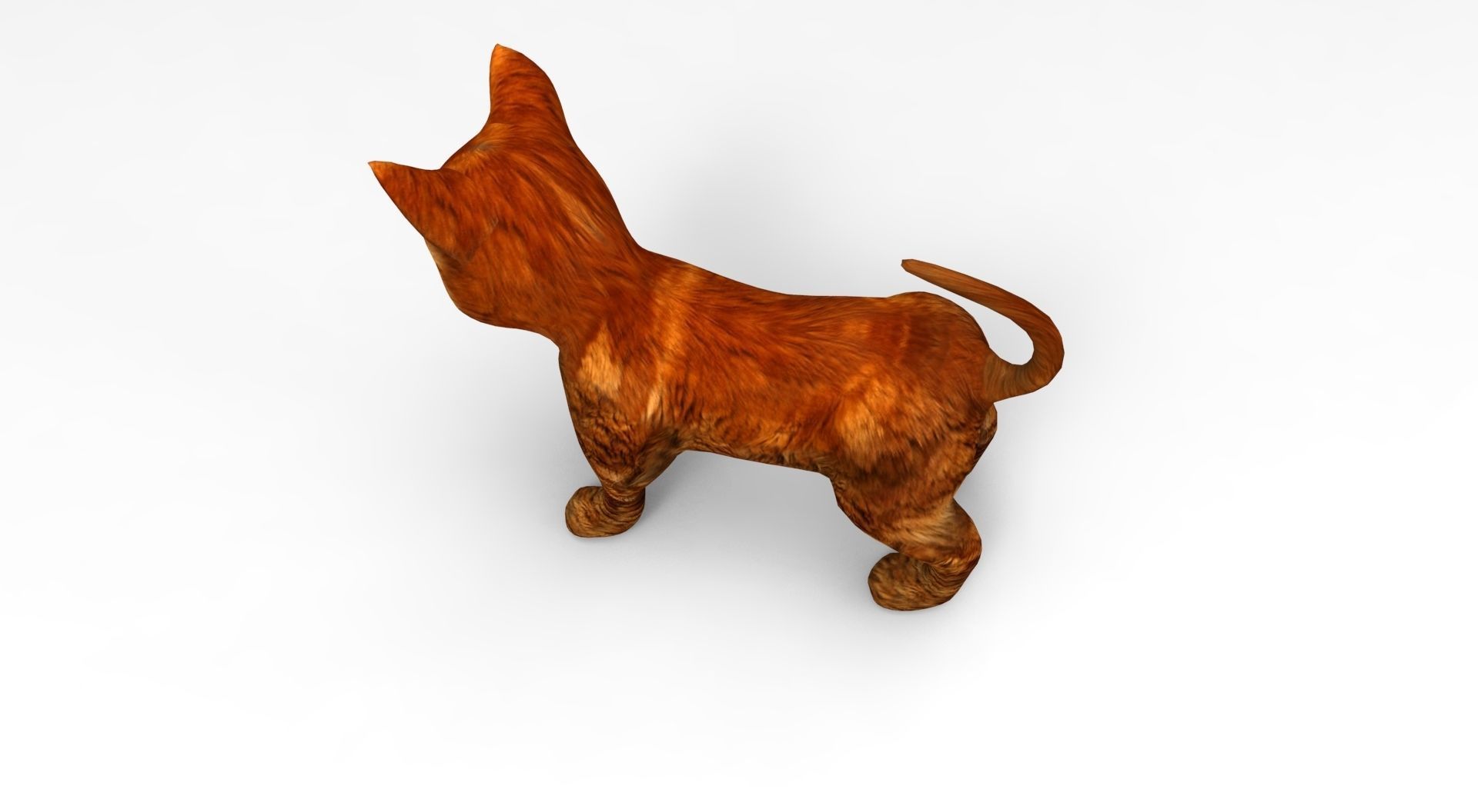 Cute Cat Rigged Low-poly 3D model_26