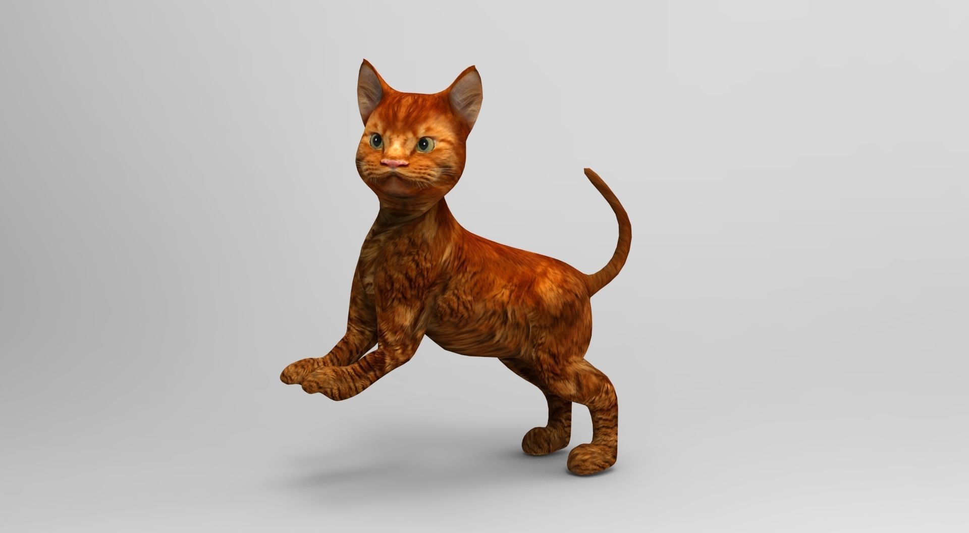 Cute Cat Rigged Low-poly 3D model_33