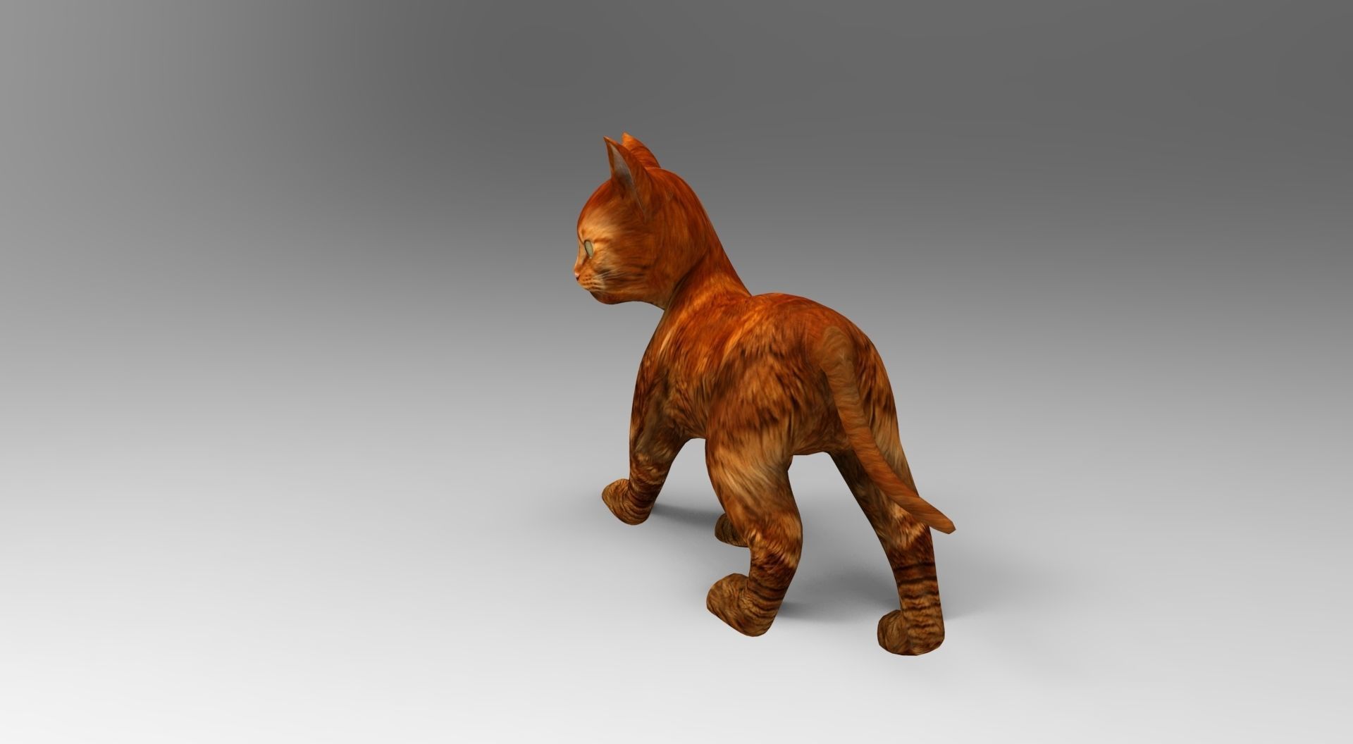 Cute Cat Rigged Low-poly 3D model_13