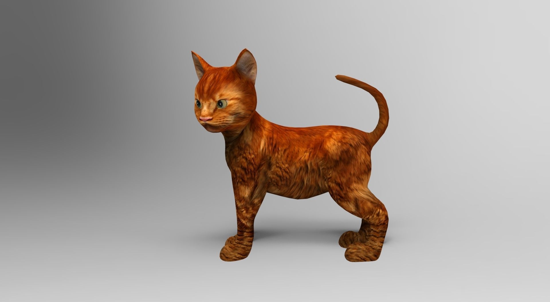 Cute Cat Rigged Low-poly 3D model_21
