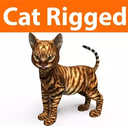 Wild Cute Cat Rigged 