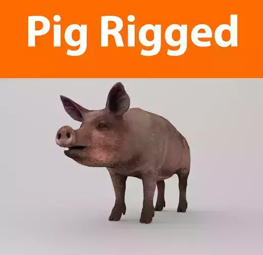Pig Rigged Model 