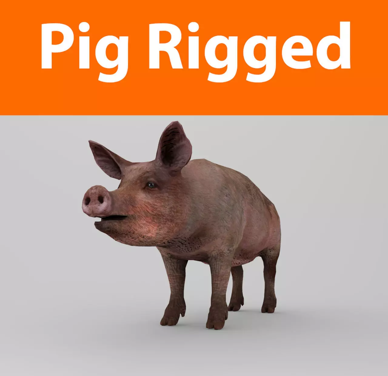Pig Rigged Model  Low-poly 3D model_0