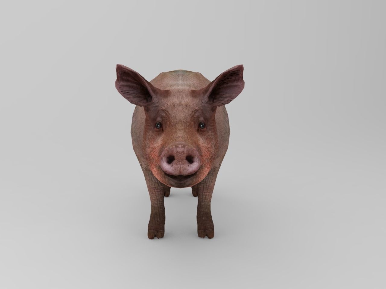 Pig Rigged Model  Low-poly 3D model_9