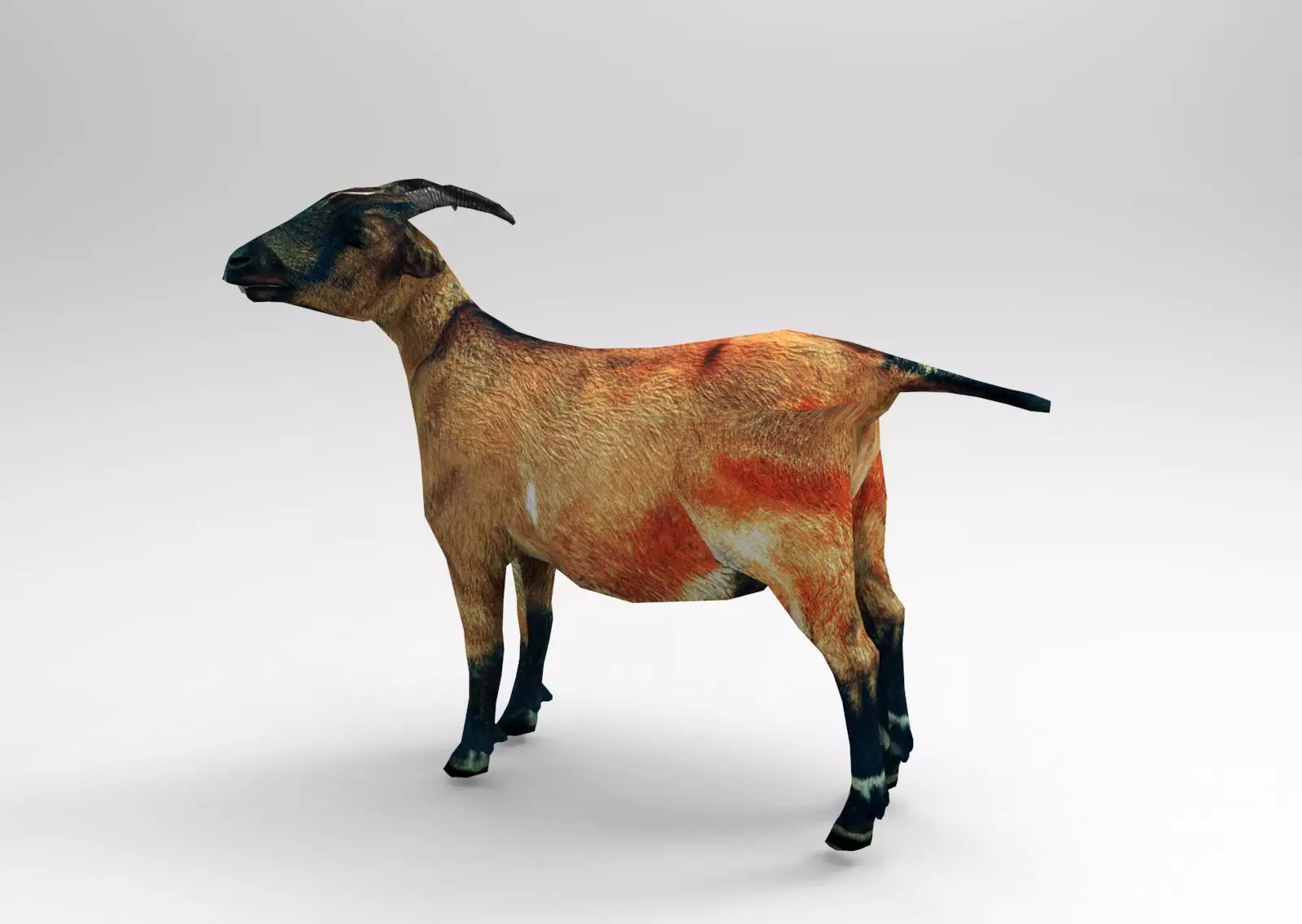 Red Goat Rigged  Low-poly 3D model_0