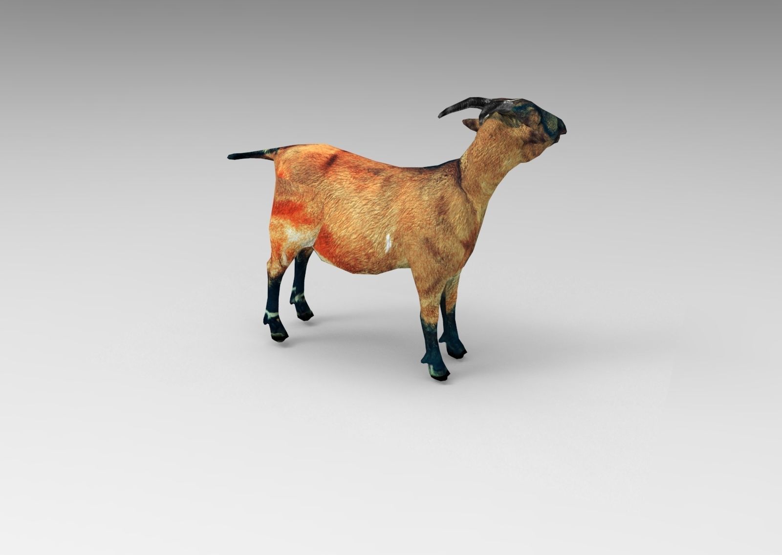 Red Goat Rigged  Low-poly 3D model_3