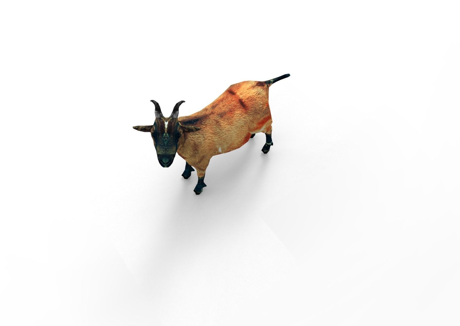 Red Goat Rigged  Low-poly 3D model_5