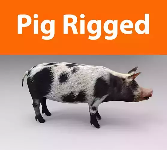 Pig Rigged  Low-poly 3D model