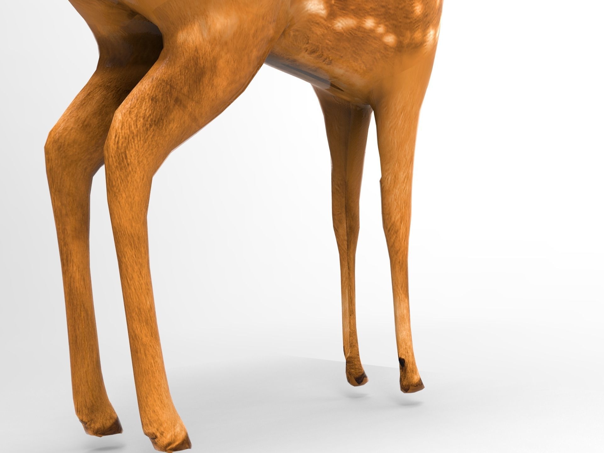 Cute Deer Rigged Low-poly 3D model_11