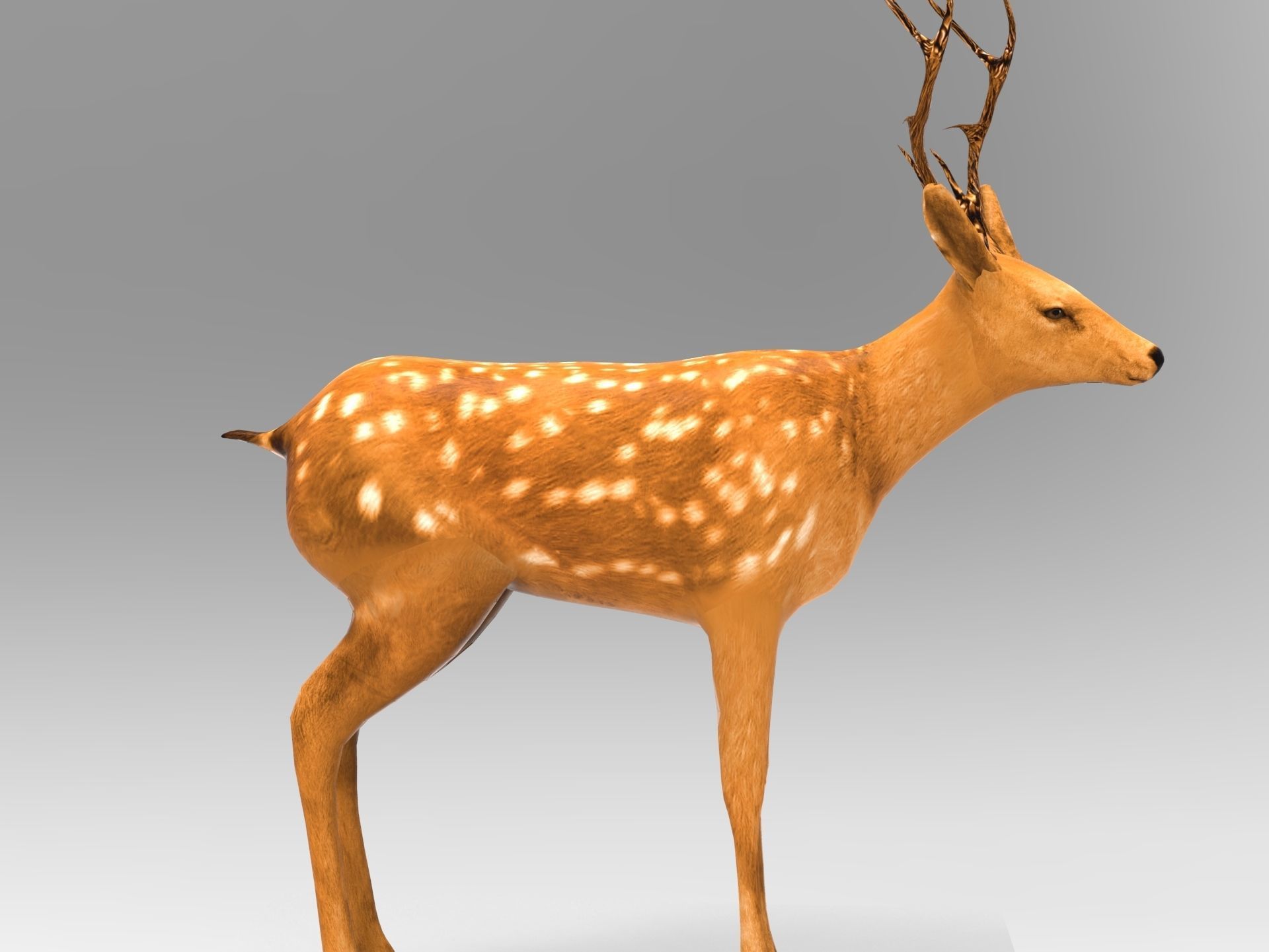 Cute Deer Rigged Low-poly 3D model_6