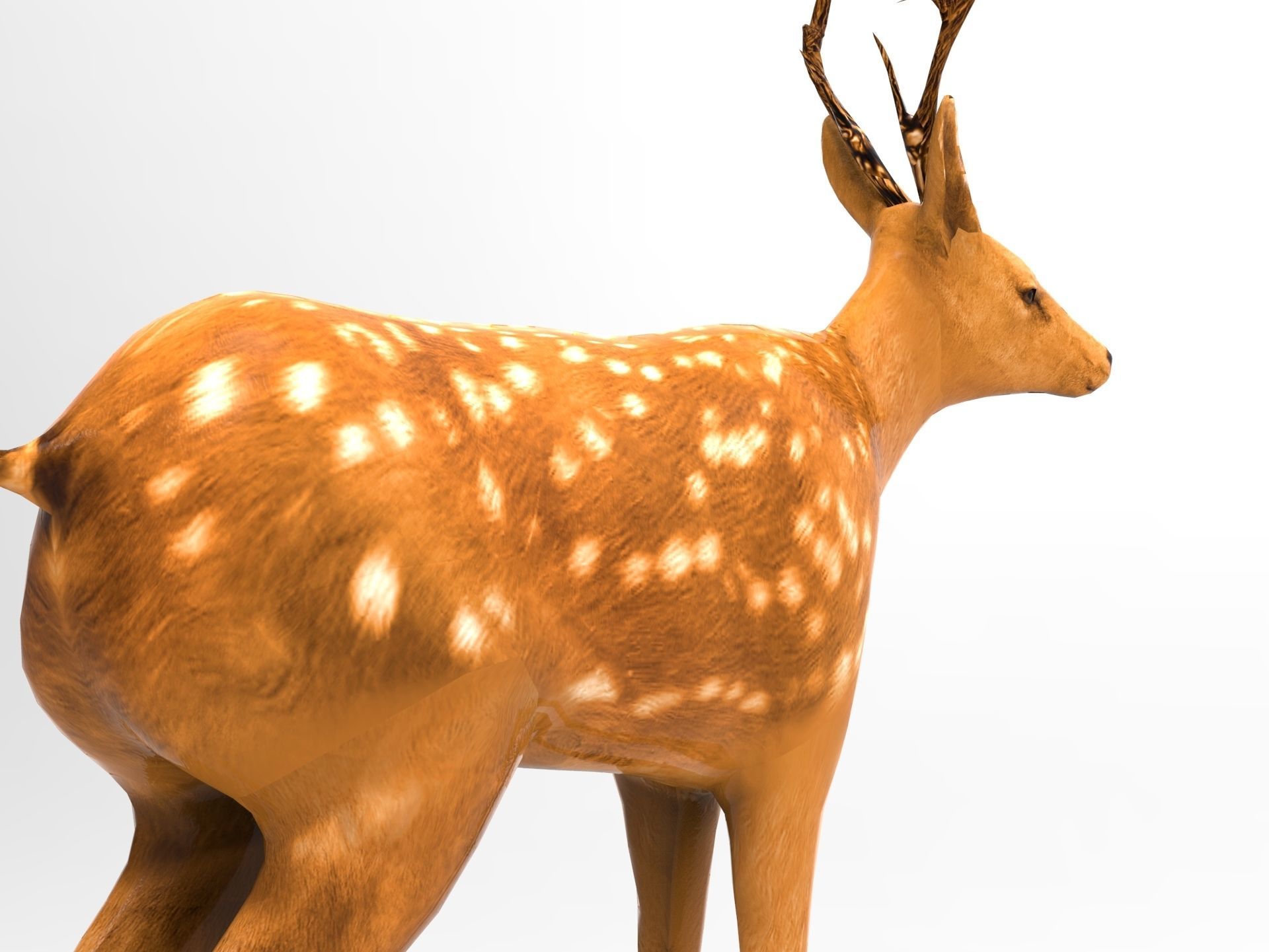 Cute Deer Rigged Low-poly 3D model_10