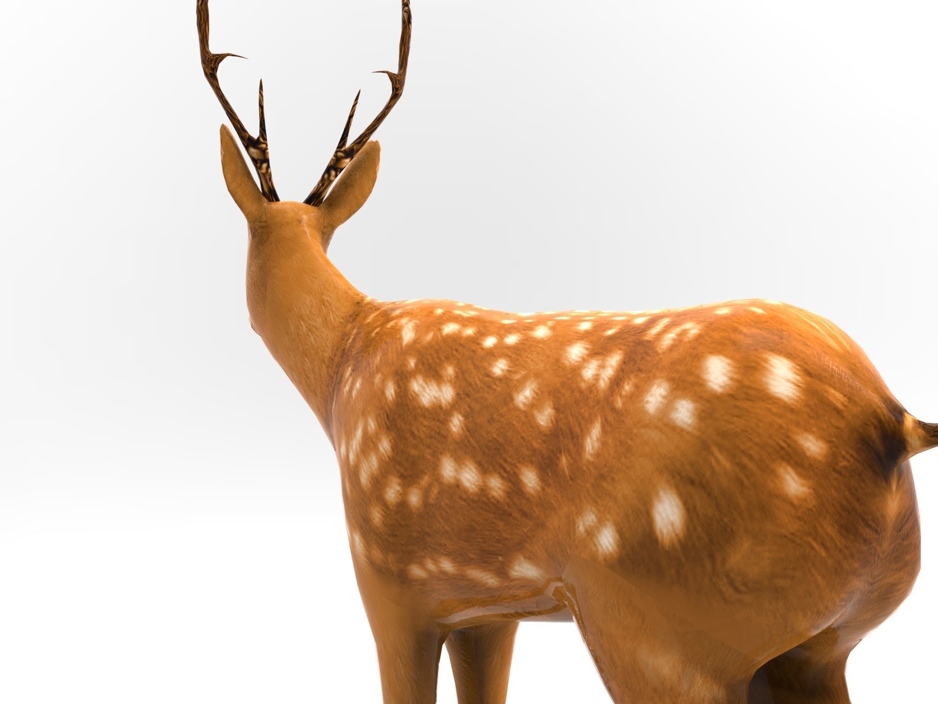 Cute Deer Rigged Low-poly 3D model_9