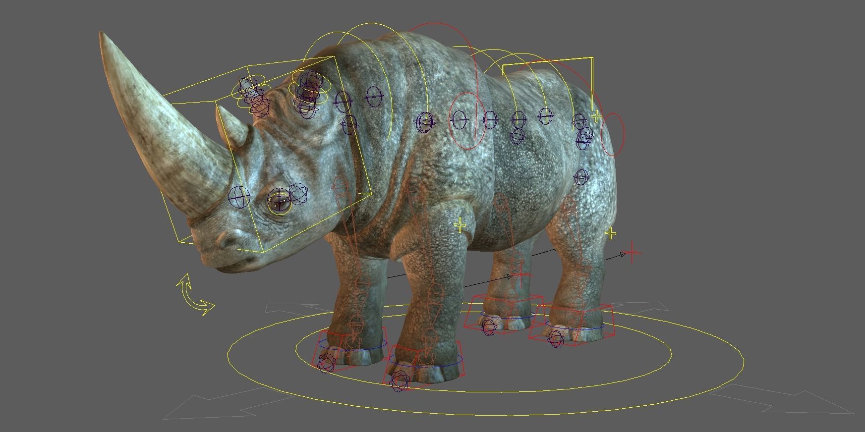 RHINO 3D RIG MODEL WITH TEXTURES 3D model