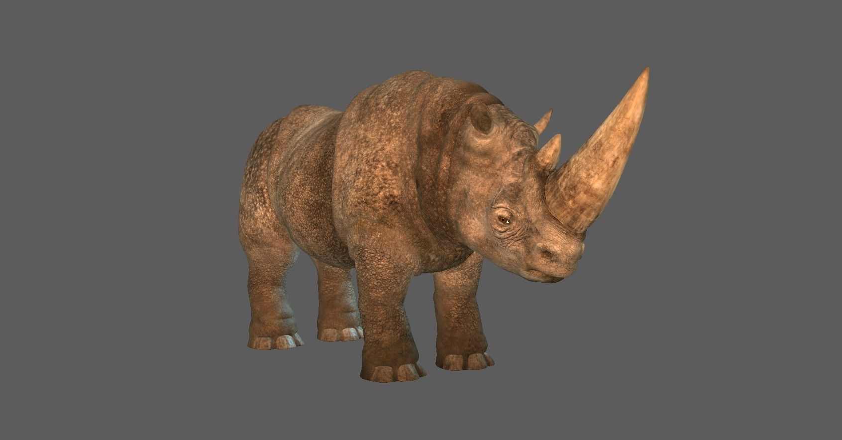 RHINO 3D RIG MODEL WITH TEXTURES 3D model