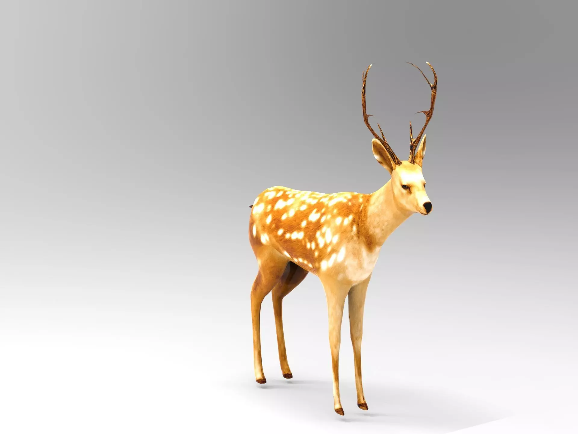 Deer Rigged Low-poly 3D model_0