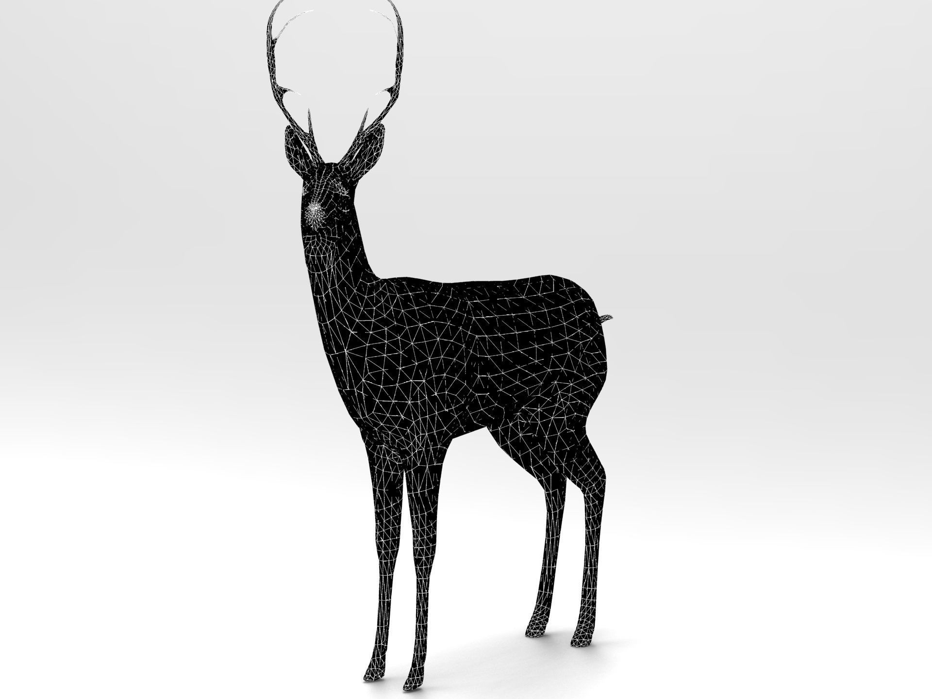 Deer Rigged Low-poly 3D model_19