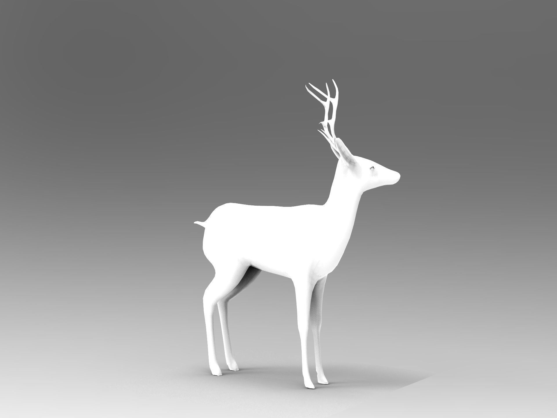 Deer Rigged Low-poly 3D model_11