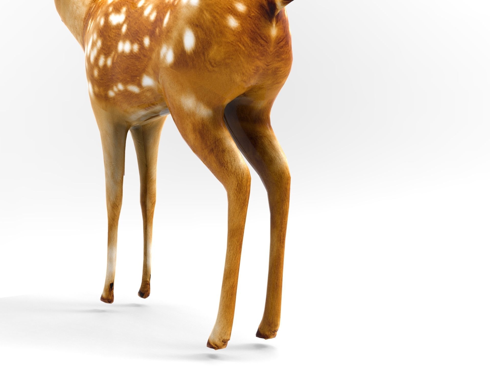 Deer Rigged Low-poly 3D model_9