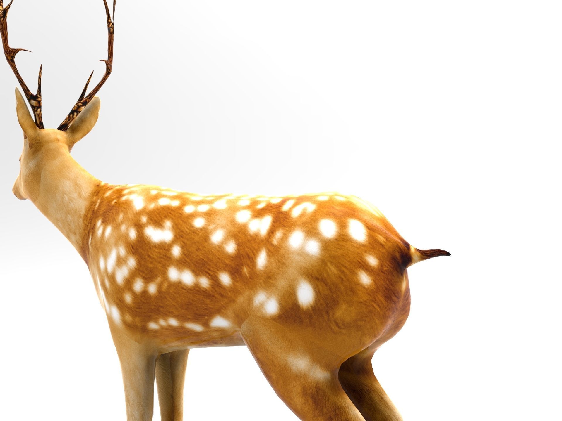 Deer Rigged Low-poly 3D model_8